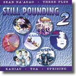 Various Artists - Still Pounding Vol 2